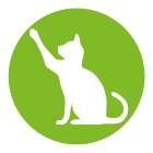 Кошки